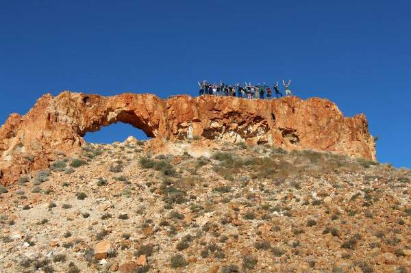 Shark Bay Camel Rides - credit website