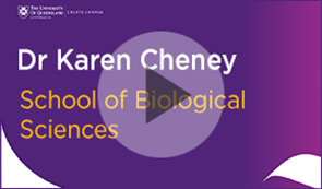 Dr Karen Cheney